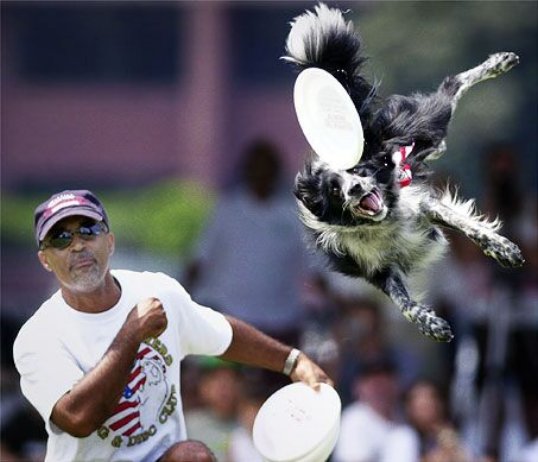 I want people to see this because it reminds me of home...and it's just AWESOME!